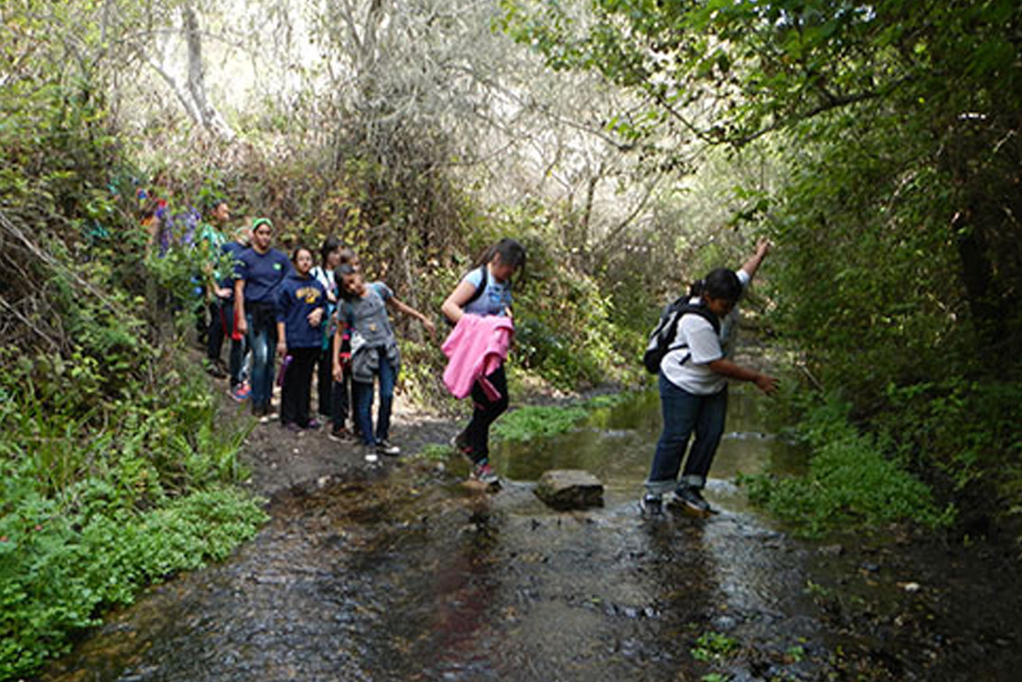 Creek Hike